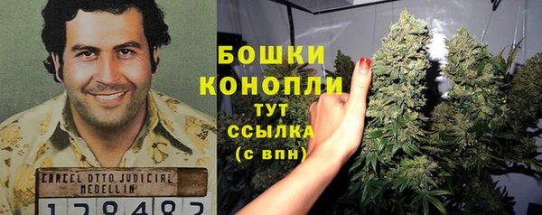 хмурый Рославль