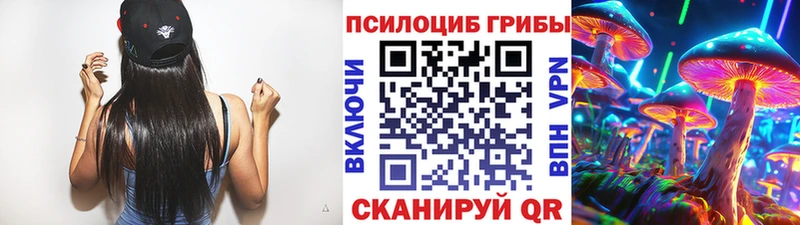 купить наркотики цена  Лениногорск  Псилоцибиновые грибы прущие грибы 